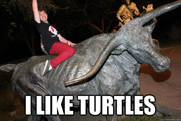  I like turtles  