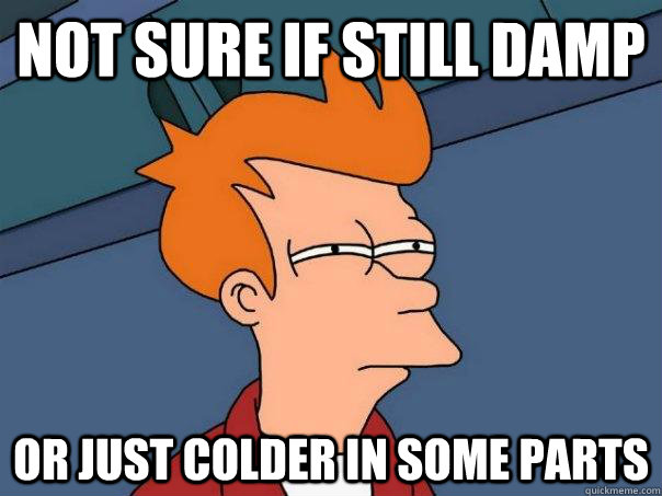 Not sure if still damp Or just colder in some parts   Futurama Fry