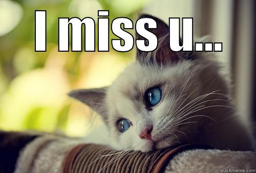 meow kitty says -  I MISS U...  First World Problems Cat