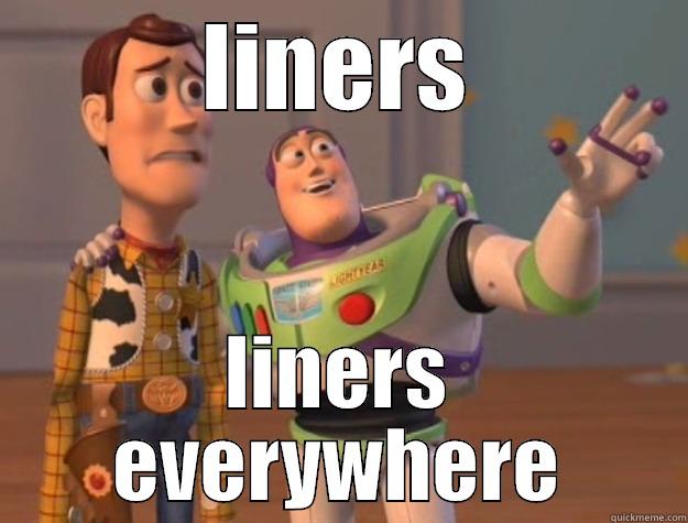 LINERS LINERS EVERYWHERE Toy Story