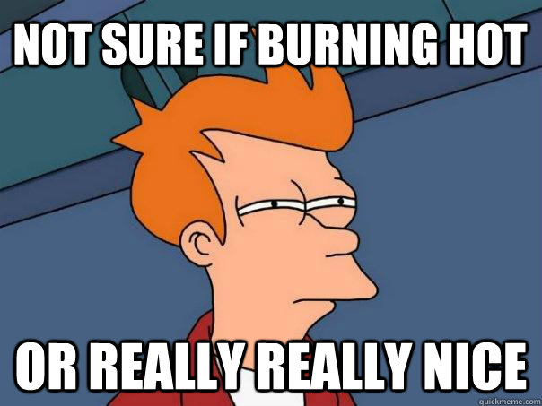 Not sure if burning hot Or really really nice - Not sure if burning hot Or really really nice  Futurama Fry