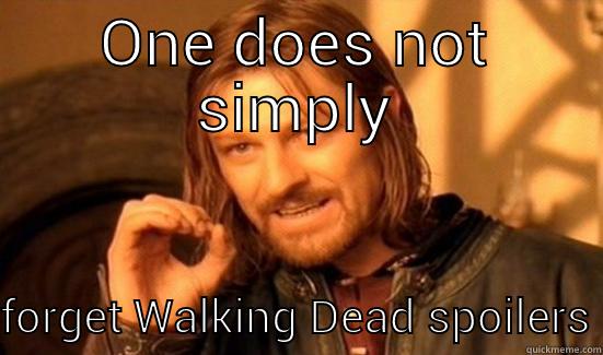 ONE DOES NOT SIMPLY FORGET WALKING DEAD SPOILERS Boromir