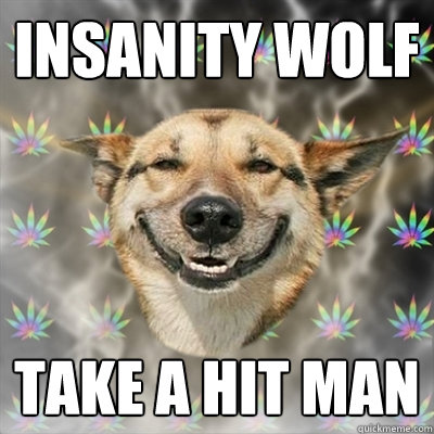 Insanity Wolf Take a hit man   Stoner Dog