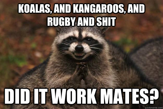 Koalas, and Kangaroos, and Rugby and Shit Did it work mates?  Evil Plotting Raccoon