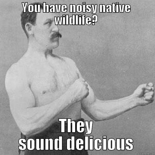 YOU HAVE NOISY NATIVE WILDLIFE? THEY SOUND DELICIOUS overly manly man