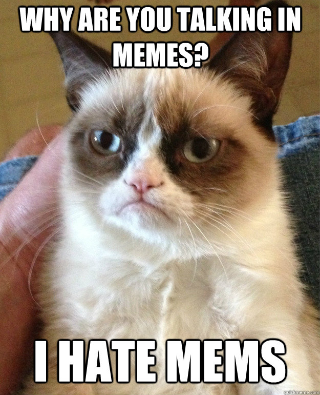 why are you talking in memes? I hate mems  Grumpy Cat