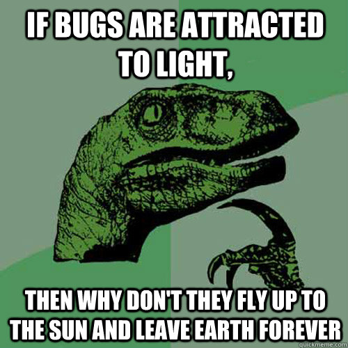 if bugs are attracted to light, then why don't they fly up to the sun and leave earth forever - if bugs are attracted to light, then why don't they fly up to the sun and leave earth forever  Philosoraptor