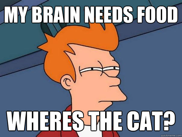 My brain needs food wheres the cat?  Futurama Fry