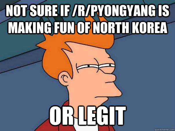 Not sure if /r/pyongyang is making fun of North Korea or legit  Futurama Fry