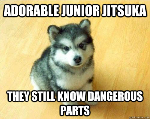 adorable Junior Jitsuka They still know dangerous parts  Baby Courage Wolf