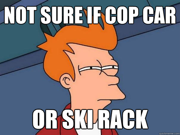 Not sure if Cop car or ski rack  Futurama Fry