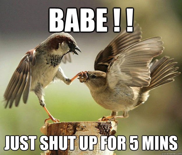 babe ! !  Just shut up for 5 mins
 - babe ! !  Just shut up for 5 mins
  Stepbrothers Birds