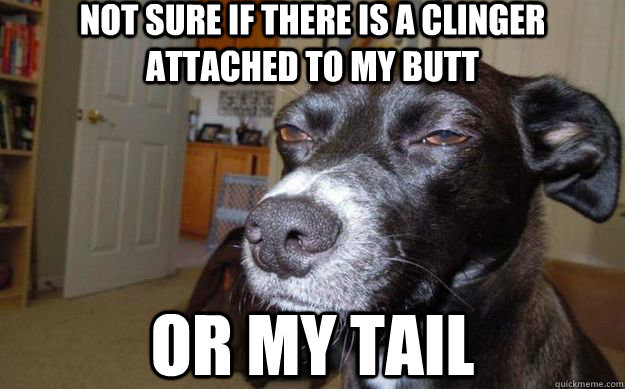 Not sure if there is a clinger attached to my butt or my tail  Skeptical Mutt