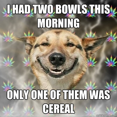 i had two bowls this morning only one of them was cereal  Stoner Dog