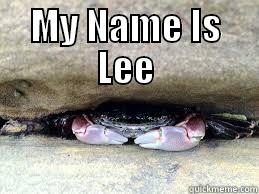 MY NAME IS LEE  Misc