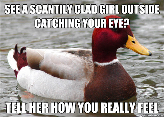 see a scantily clad girl outside catching your eye? tell her how you really feel  Malicious Advice Mallard