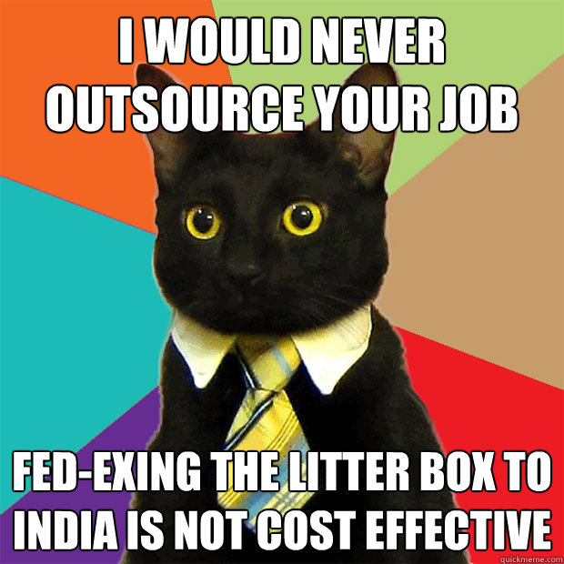 I would never outsource your job  Fed-Exing the litter box to India is not cost effective  Business Cat