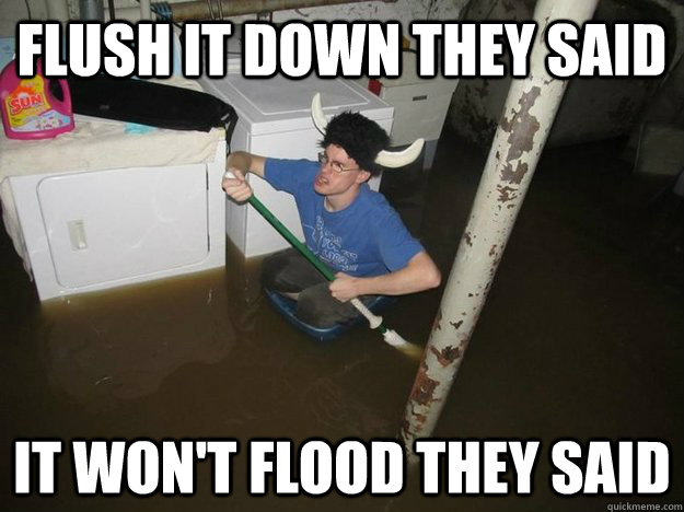 Flush it down they said It won't flood they said  Do the laundry they said