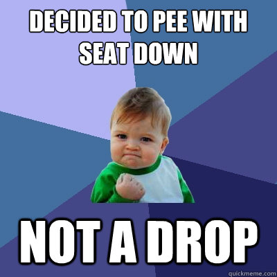 Decided to pee with seat down NOT A DROP - Decided to pee with seat down NOT A DROP  Success Kid