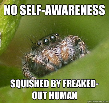 no self-awareness squished by freaked-out human  Misunderstood Spider