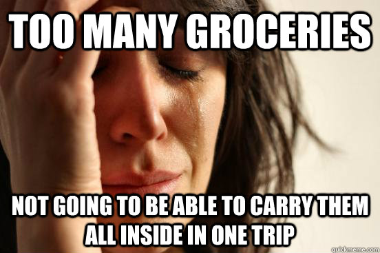 too many groceries  not going to be able to carry them all inside in one trip - too many groceries  not going to be able to carry them all inside in one trip  First World Problems