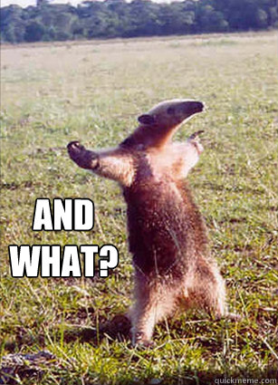 AND 
WHAT?   Defiace Anteater