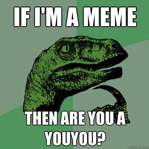 if i'm a meme then are you a youyou? - if i'm a meme then are you a youyou?  Philosoraptor