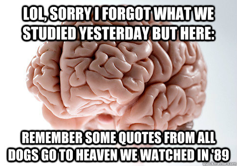 lol, sorry I forgot what we studied yesterday but here: remember some quotes from All dogs go to heaven we watched in '89 - lol, sorry I forgot what we studied yesterday but here: remember some quotes from All dogs go to heaven we watched in '89  Scumbag Brain