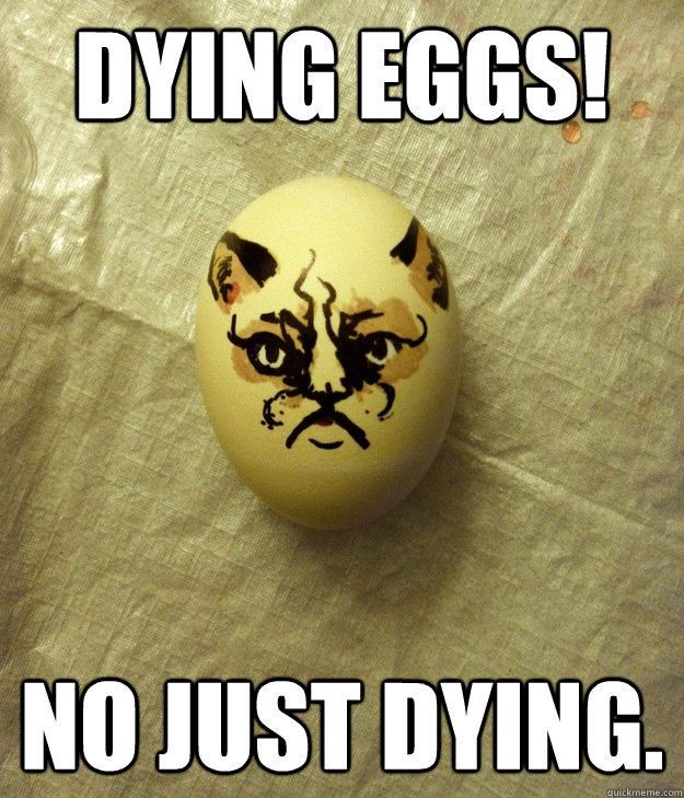 Dying eggs! no just dying. - Dying eggs! no just dying.  Misc