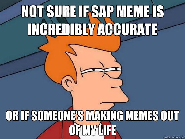 Not sure if SAP meme is incredibly accurate or if someone's making memes out of my life - Not sure if SAP meme is incredibly accurate or if someone's making memes out of my life  Futurama Fry