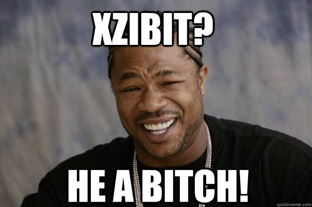 xzibit? he a bitch!  Xzibit meme 2