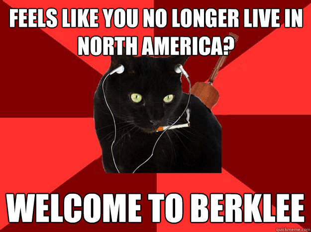 Feels like you no longer live in north america? welcome to berklee  Berklee Cat