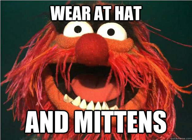 wear at hat and mittens  Advice Animal