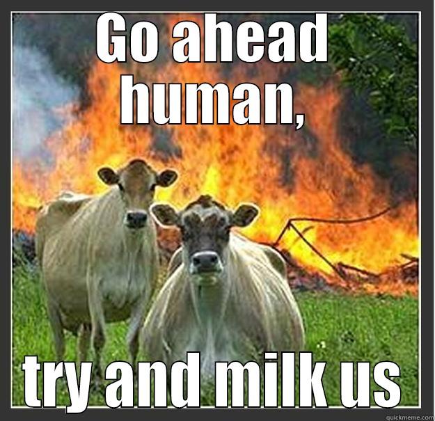 GO AHEAD HUMAN, TRY AND MILK US Evil cows