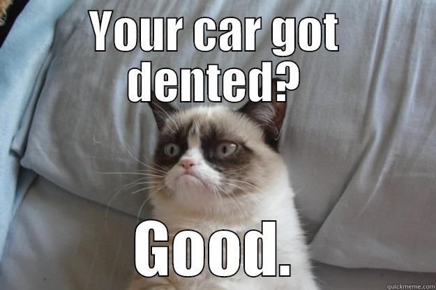Hailing more - YOUR CAR GOT DENTED? GOOD. Grumpy Cat