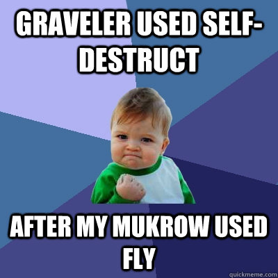 Graveler used self-destruct  after my mukrow used fly  Success Kid