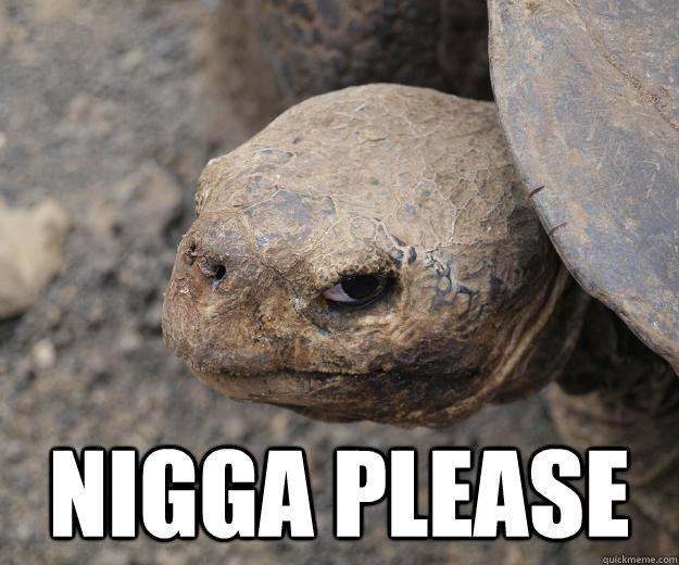  Nigga PLease -  Nigga PLease  Evil Eye Turtle