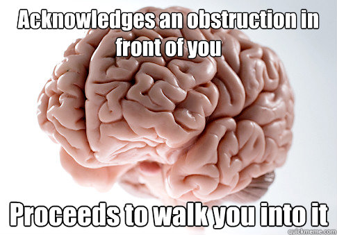 Acknowledges an obstruction in front of you  Proceeds to walk you into it   Scumbag Brain