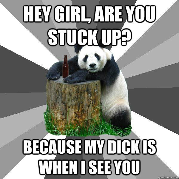 hey girl, are you stuck up? because my dick is when I see you  Pickup-Line Panda