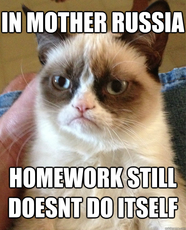 In mother Russia Homework still doesnt do itself  Grumpy Cat