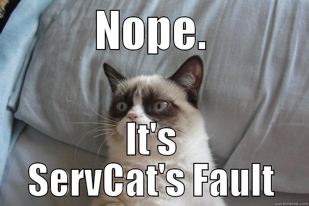 NOPE. IT'S SERVCAT'S FAULT Grumpy Cat