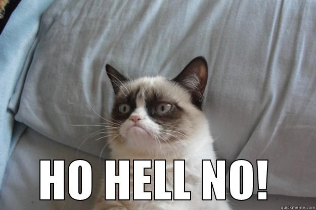 hell no -  HO HELL NO! Grumpy Cat