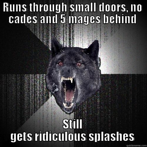 RUNS THROUGH SMALL DOORS, NO CADES AND 5 MAGES BEHIND STILL GETS RIDICULOUS SPLASHES Insanity Wolf