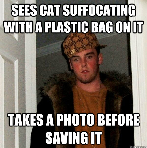 Sees cat suffocating with a plastic bag on it takes a photo before saving it - Sees cat suffocating with a plastic bag on it takes a photo before saving it  Scumbag Steve