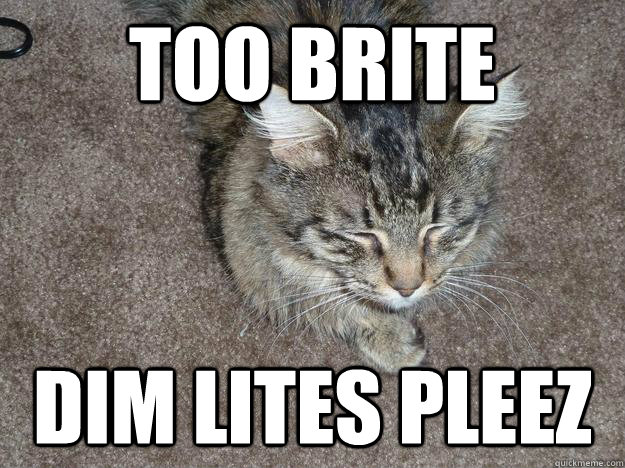 TOO BRITE DIM LITES PLEEZ - TOO BRITE DIM LITES PLEEZ  Misc