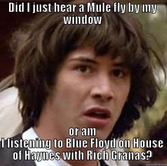 DID I JUST HEAR A MULE FLY BY MY WINDOW OR AM I LISTENING TO BLUE FLOYD ON HOUSE OF HAYNES WITH RICH GRANAS? conspiracy keanu