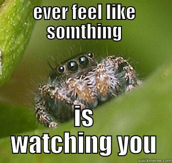 creepy eyes - EVER FEEL LIKE SOMTHING IS WATCHING YOU Misunderstood Spider