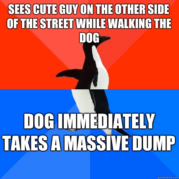 Sees cute guy on the other side of the street while walking the dog  Dog immediately takes a massive dump  - Sees cute guy on the other side of the street while walking the dog  Dog immediately takes a massive dump   Misc