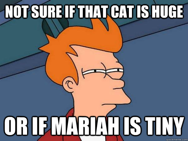 Not sure if that cat is huge Or if Mariah is tiny  Futurama Fry