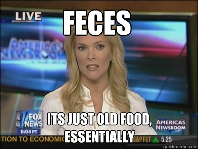 Feces Its just old food,
essentially  Megyn Kelly